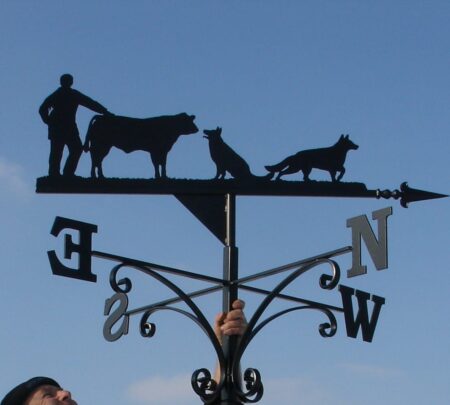 A black Farmer bull calf & German Shepherds Weathervane against a blue sky