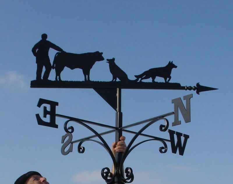 A black Farmer bull calf & German Shepherds Weathervane against a blue sky