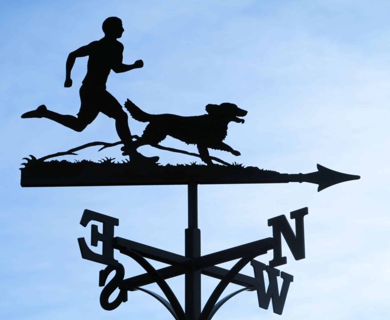 Fell Runner and Retriever Dog Weathervane