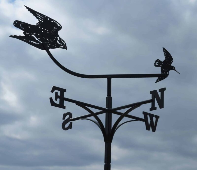 Falcon And Snipe Weathervane