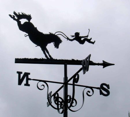 Horse Bucking off a Girl stainless steel Weathervane made by black forge art