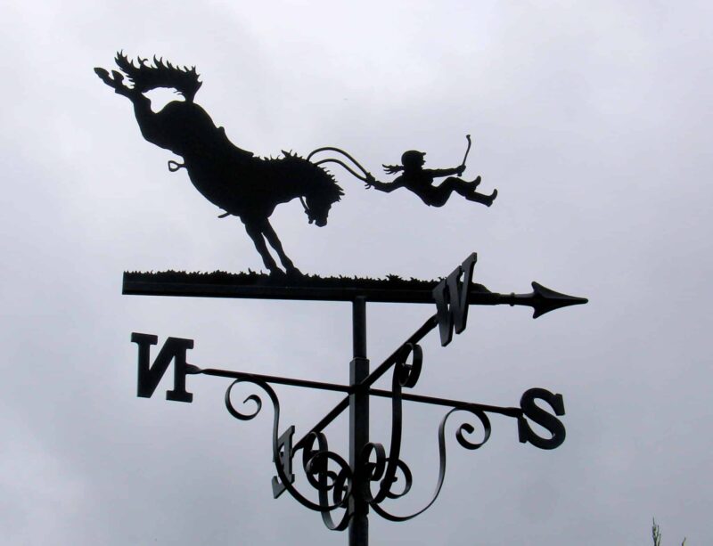 Horse Bucking off a Girl stainless steel Weathervane made by black forge art