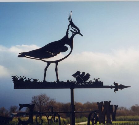 Lapwing Bird And Nest Weathervane