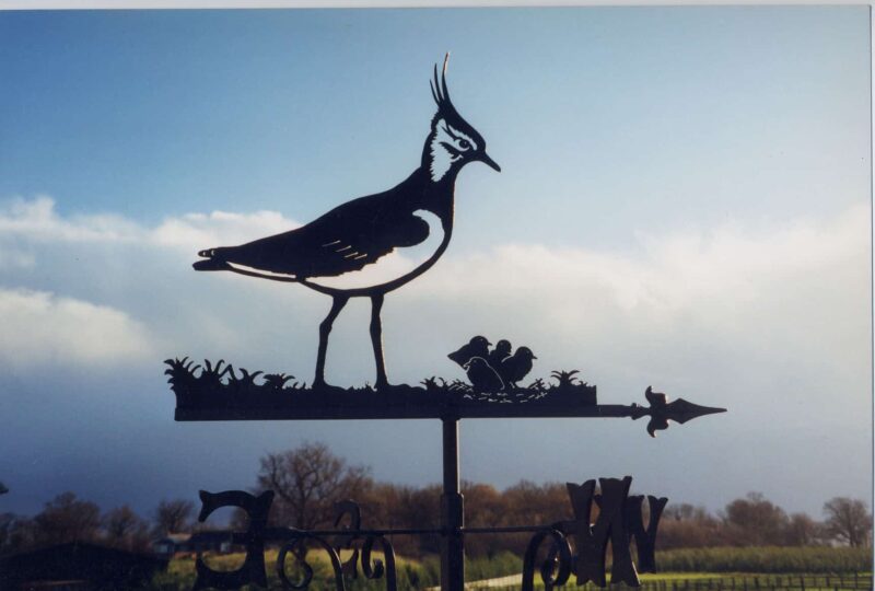 Lapwing Bird And Nest Weathervane