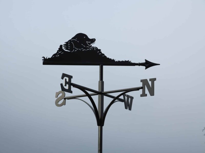 Mole And Molehill Weathervane