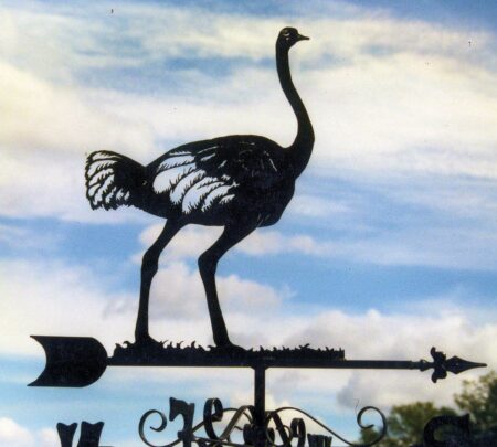 Ostrich Standing Weathervane