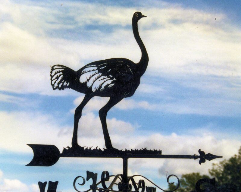 Ostrich Standing Weathervane