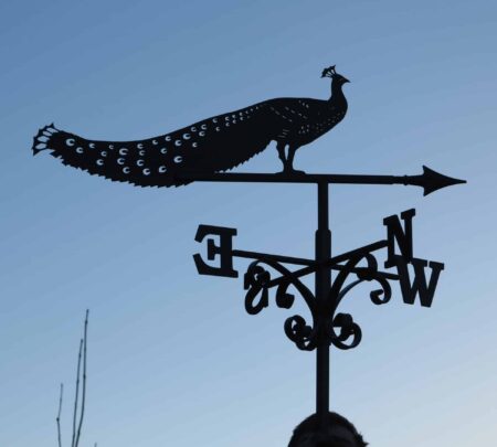 Peacock Standing Bird Weathervane 1