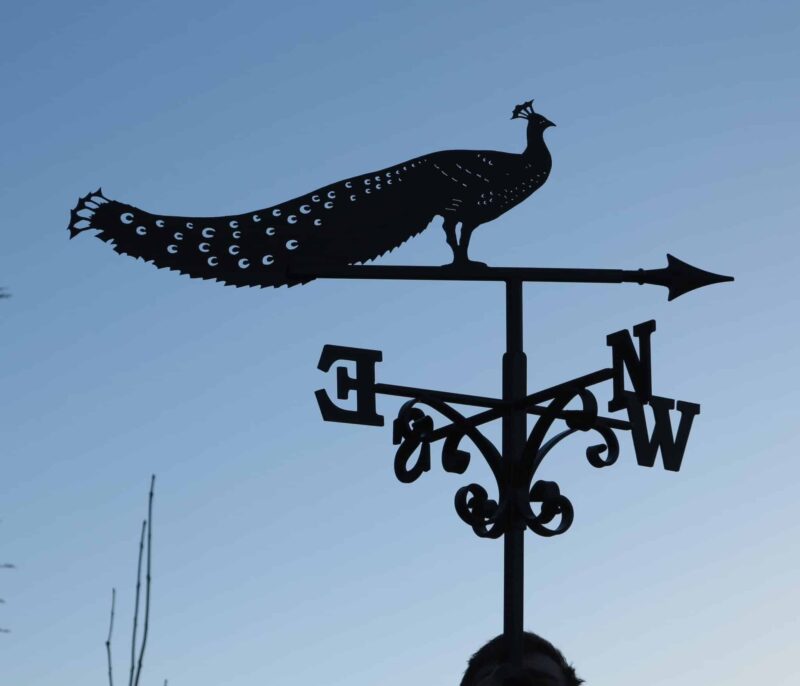 Peacock Standing Bird Weathervane 1