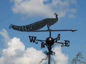 Peacock Standing Bird Weathervane 2