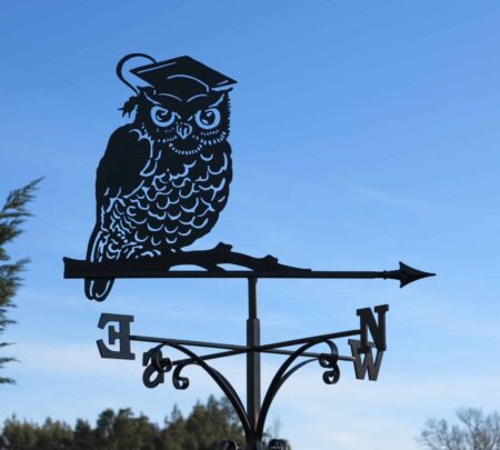 Scholarly Owl Bird School Weathervane