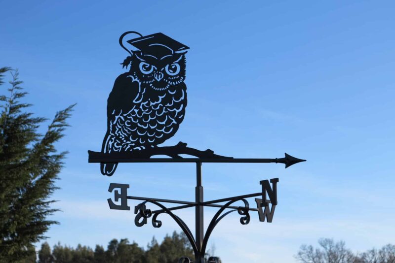 Scholarly Owl Bird School Weathervane