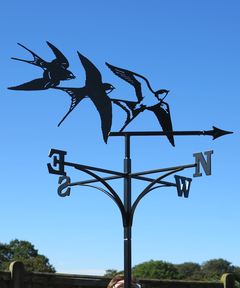 Three swallows atop weathervane